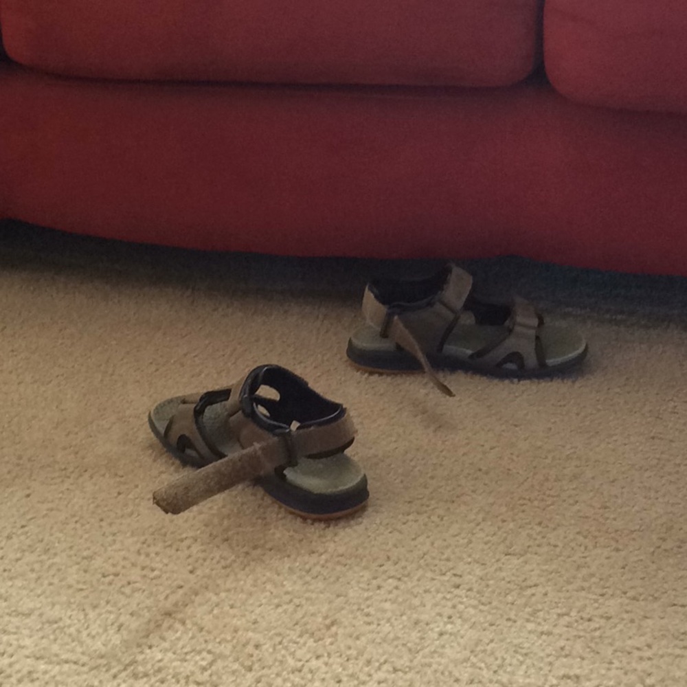 Meet your Posher, Geraldine